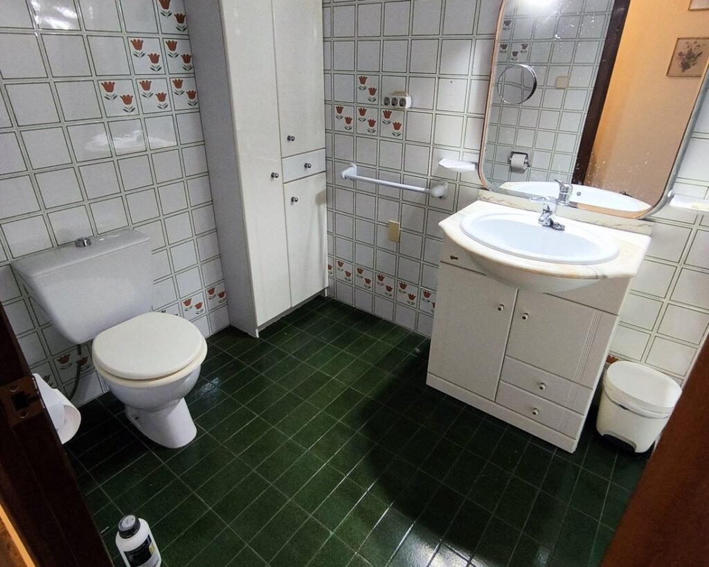Baño con azulejo de tulipanes y suelo verde, antes de la reforma